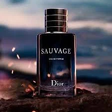 Sauvage Dior Elixir-100mL