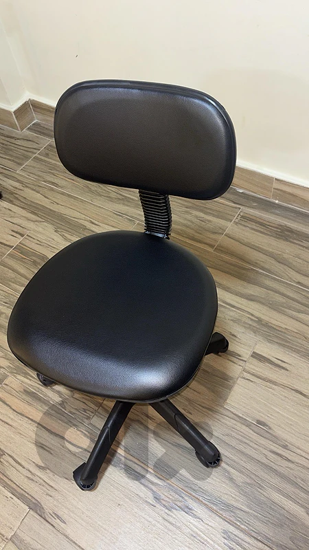 Professional Swivel Technician Stool with Backrest