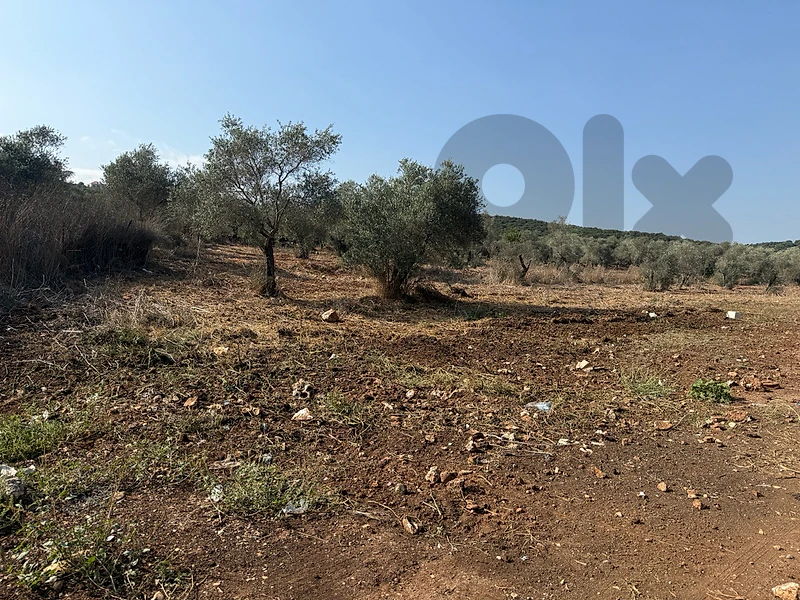 land for sale Bteram