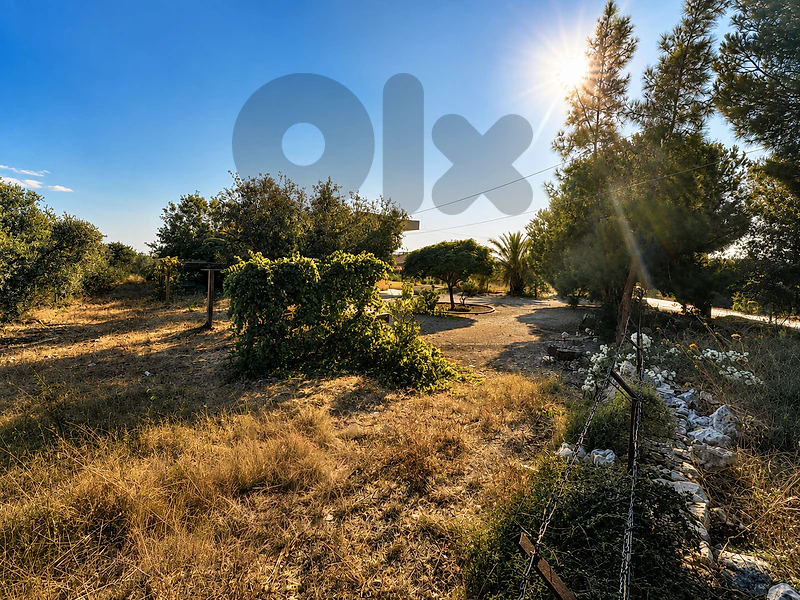 Rare Hamat Estate Land - أرض مميزة في حامات