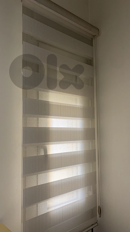 Modern Cream/Off-White Zebra Roller Blinds