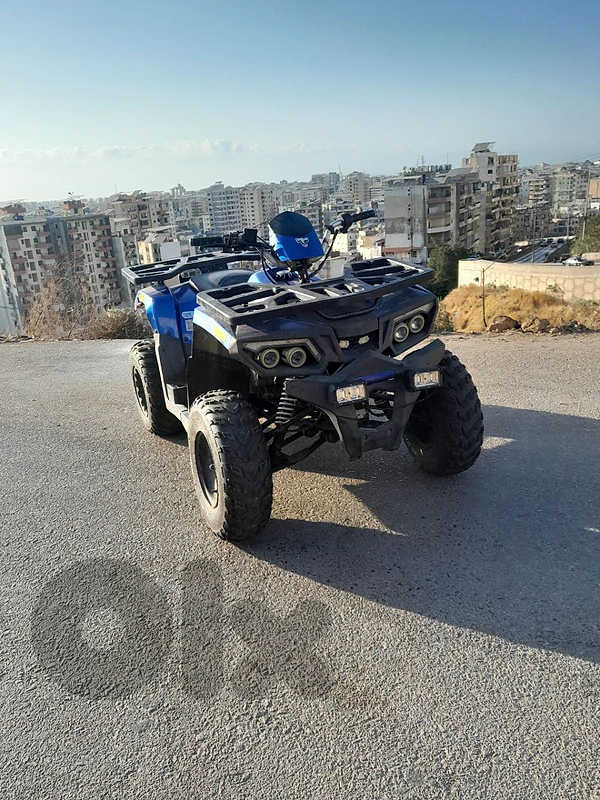 atv 200cc 2019 79 174 386
