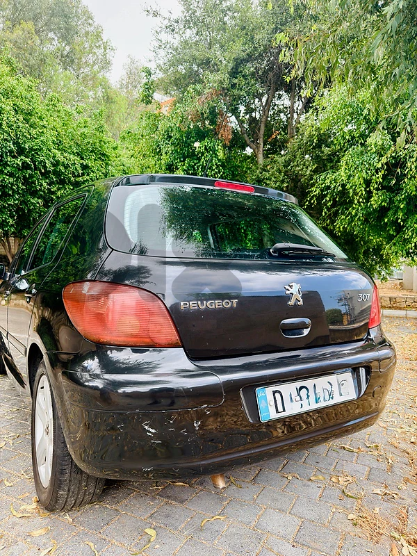 Peugeot 307 2005 XS