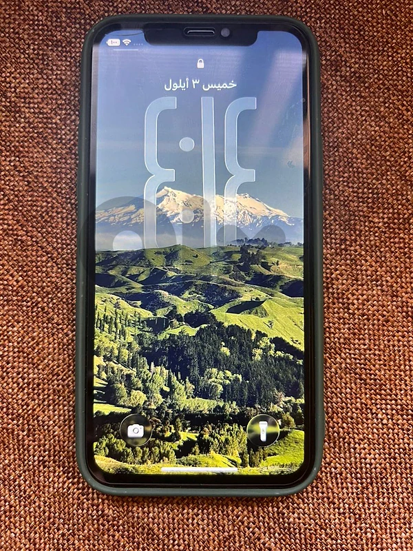 11 pro 256GB
