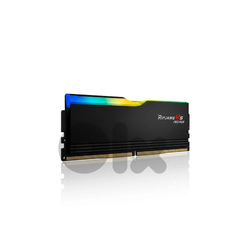 1 Slot Ram 48 GB 5200 DDR5 Gskill Dram Samsung RGB Desktop