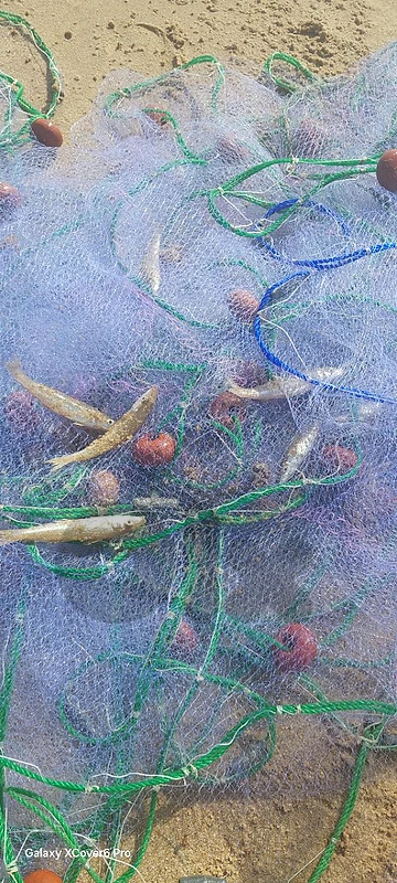 fishing net شبك غزل لصيد السمك