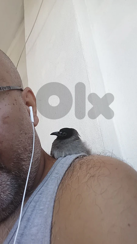 صديق الانسان