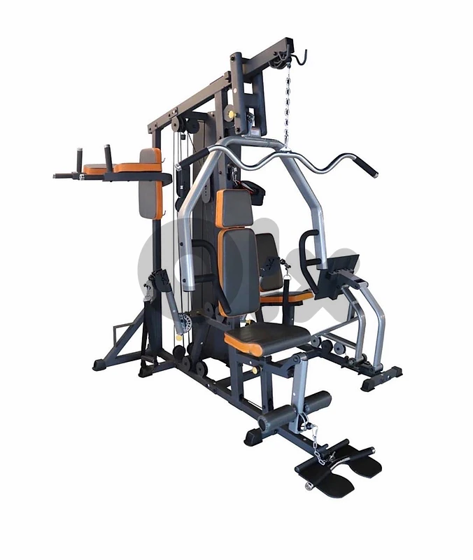 Deluxe Home Gym Station
