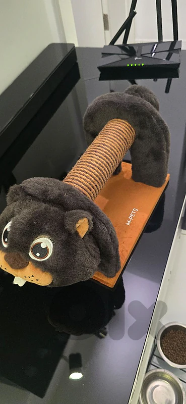 cat scratcher