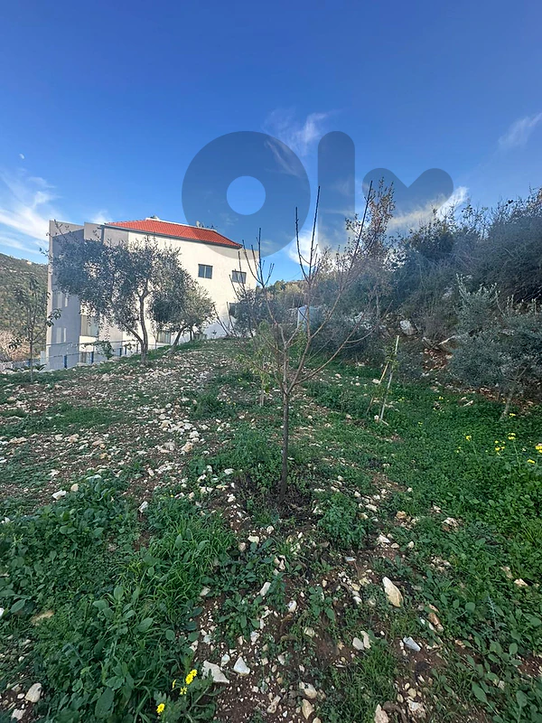 land for sale in breij ras osta jbeil