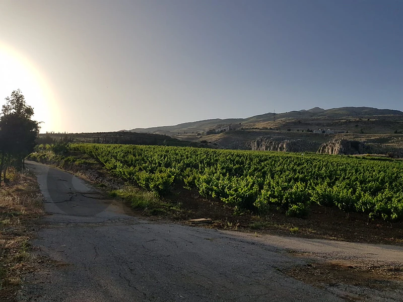 Prime 170,000 SQM Land for Sale in Wadi El Deloum, Zahle | 40$/SQM
