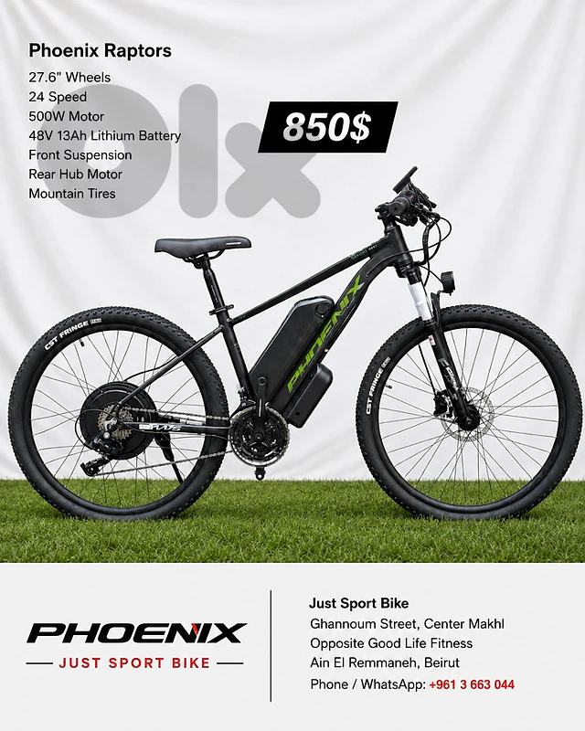 Phoenix raptors mtb 27.5 electric bike