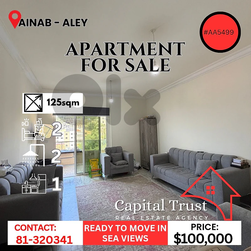 Apartment For Sale In Ainab Aley شقة للبيع في عيناب