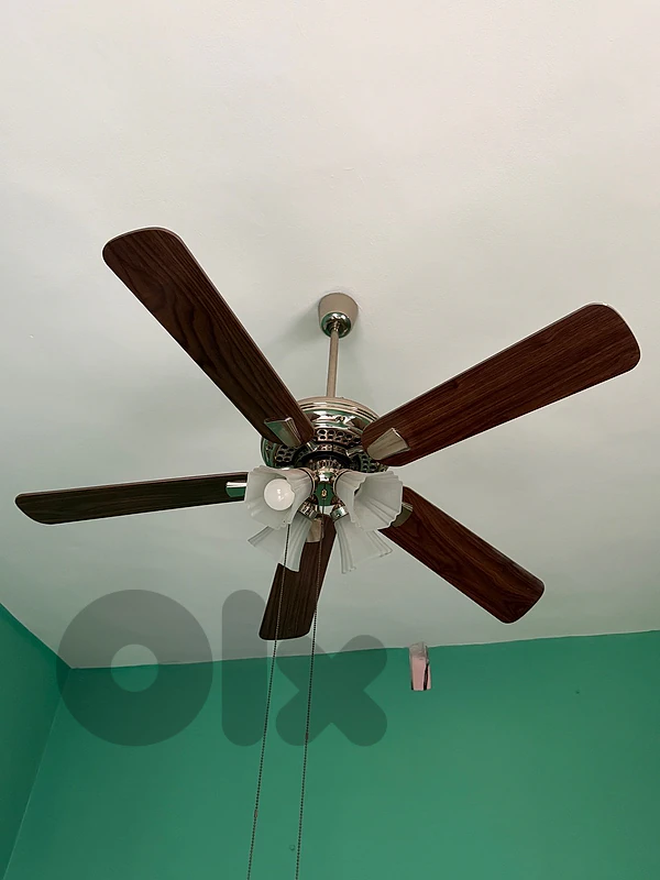 مروحة - ventilator