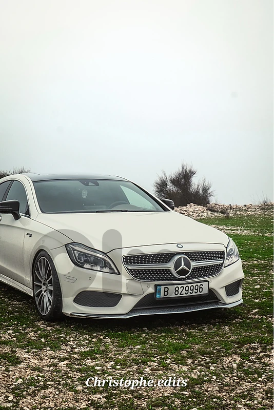 Mercedes-Benz CLS-Class 2015 2015 cls 400 2wheel drive