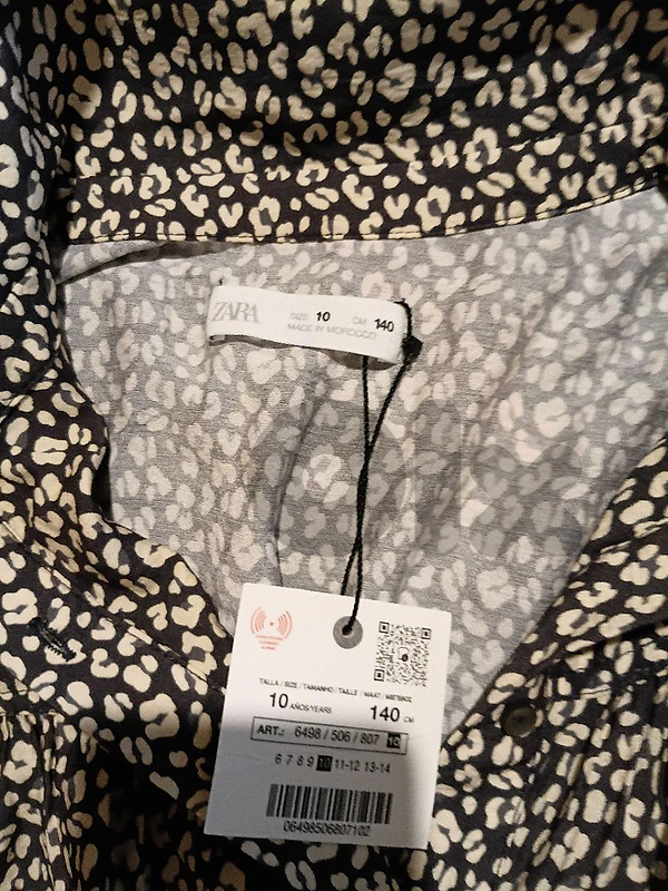 zara dress