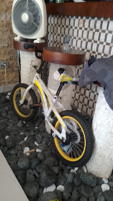 Bicycle