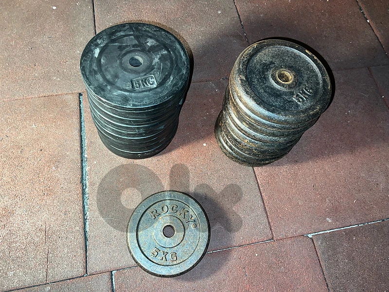gym plates 5kgs