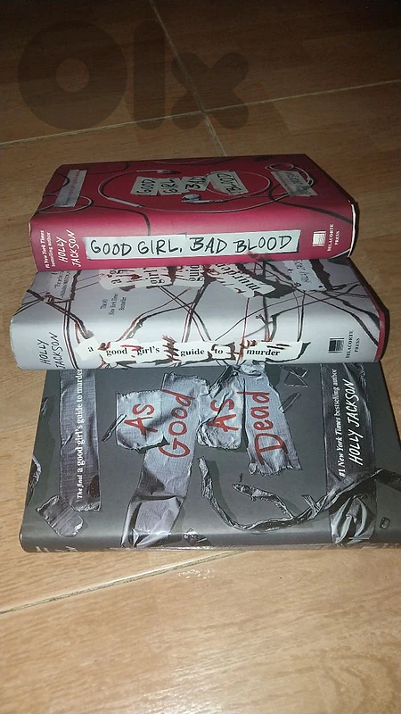 a good girls guide tourder full series
