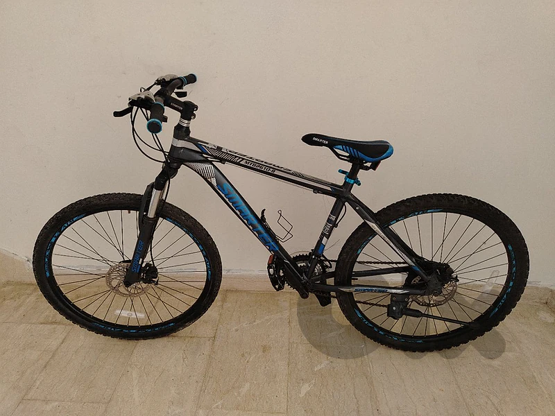Professional MTB 🚴