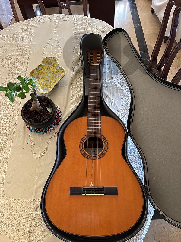 Gretsch Dorado 6028 Rosewood Classical Guitar 1970s
