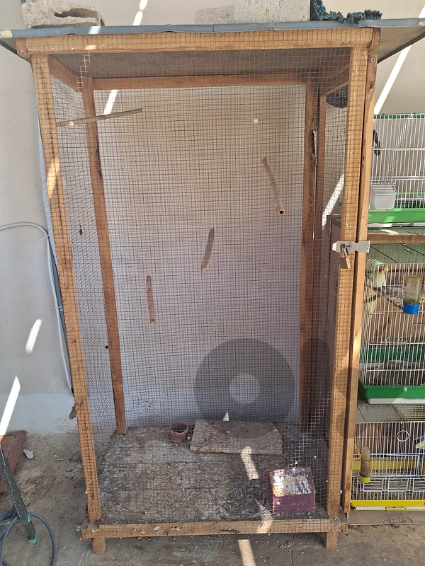 bird cages for sale