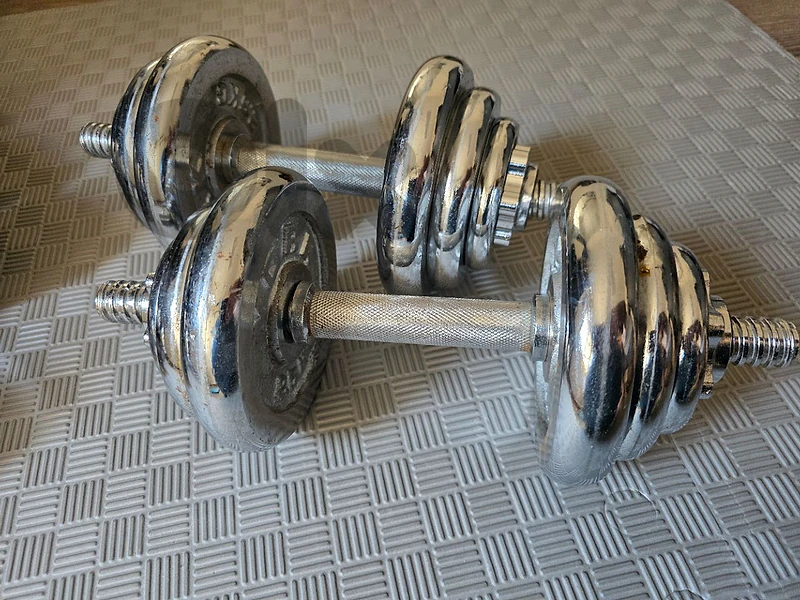cast iron dumbells 20kg