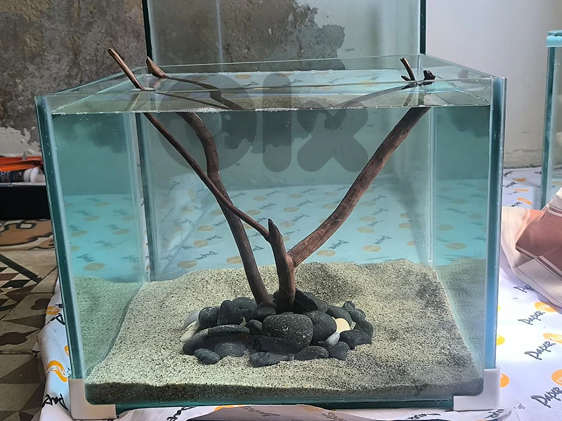 aquariums اكورايومات