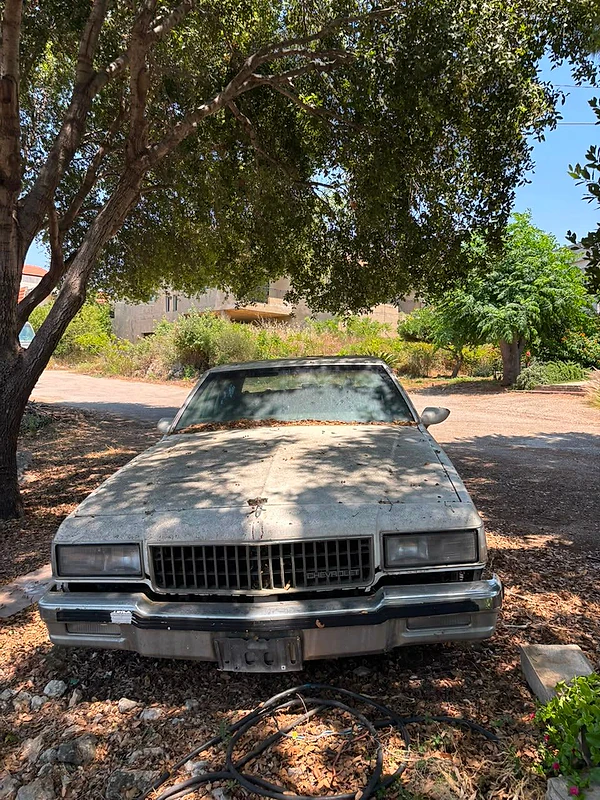 Chevrolet Caprice 1988 caprice classic