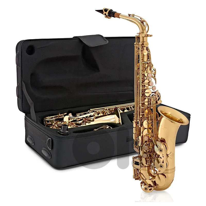 Professional Alto Saxophone – Gold Lacquer Finish