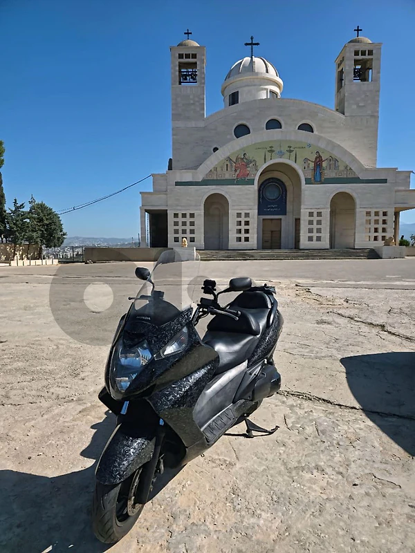 silverwing 600