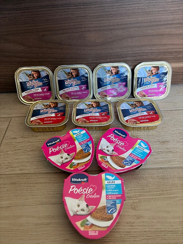 cat wet food/أكل للبسينات