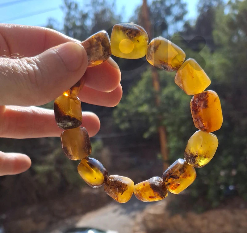baltic amber  ٣ قطع كهرمان بولندي حر ١٠٠% غير مكبوس