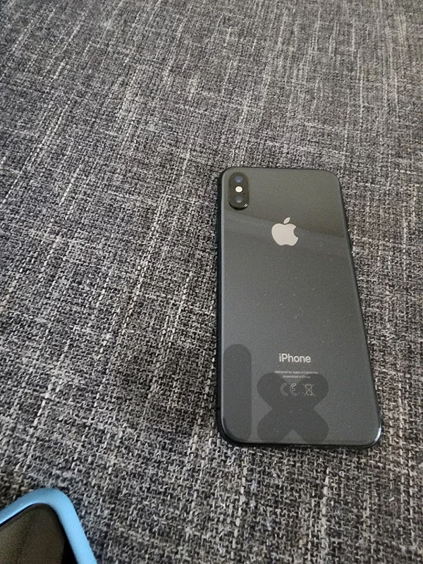 Apple X