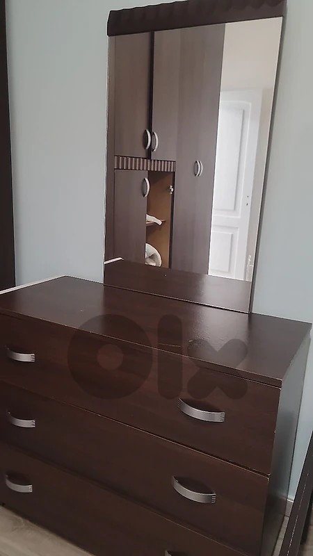 closet with mirror