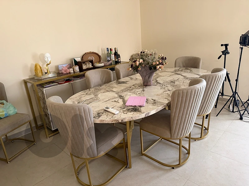 Dinning table 120x250cm with 8chairs and closets