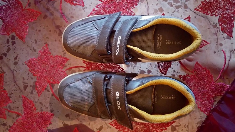 geox shoes