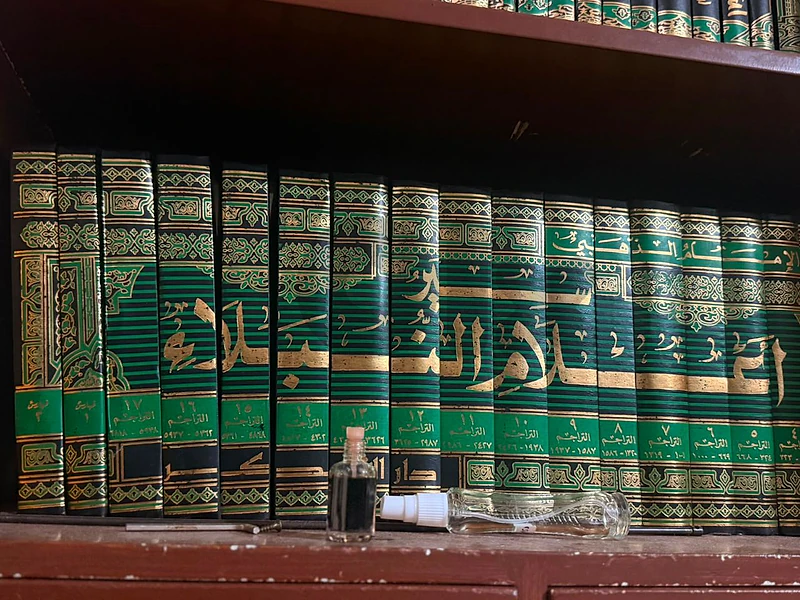 صيدا عين الدلب