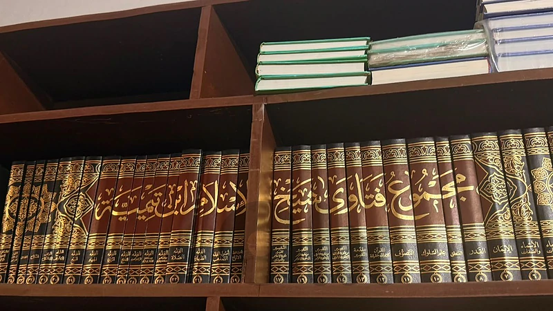 صيدا عين الدلب