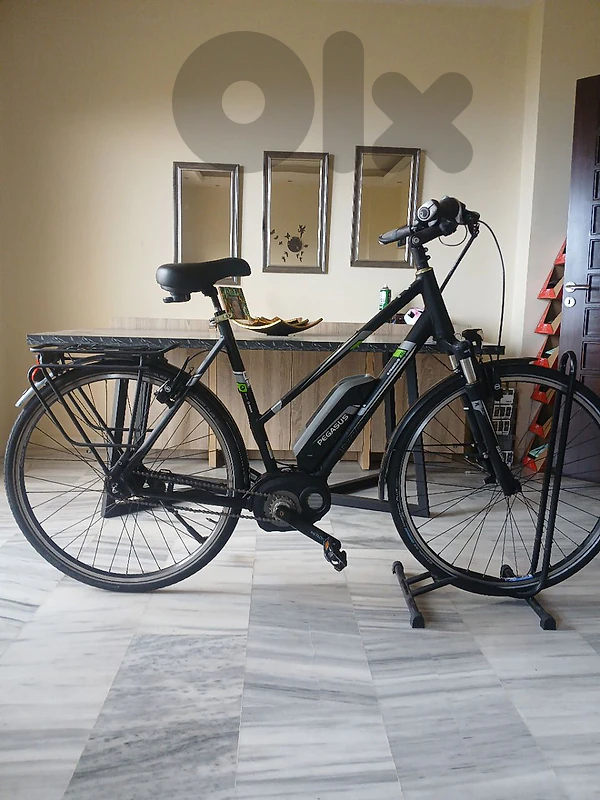 pegasus ebike