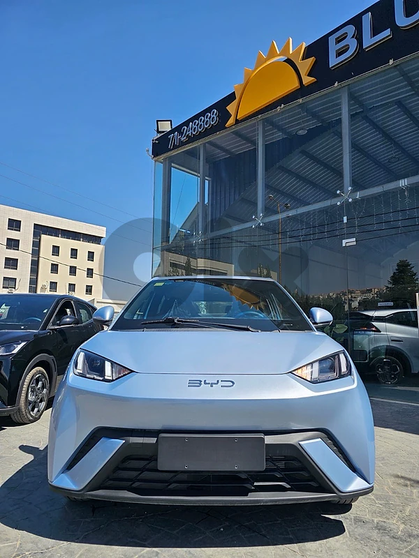 BYD Seagull 2024 fly version