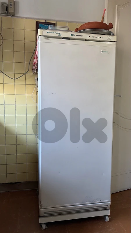 Frigidaire Upright Freezer – Good Working Condition