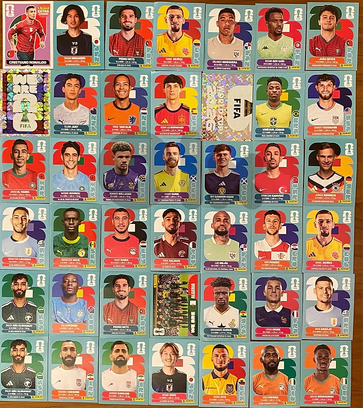 Panini world cup 2026