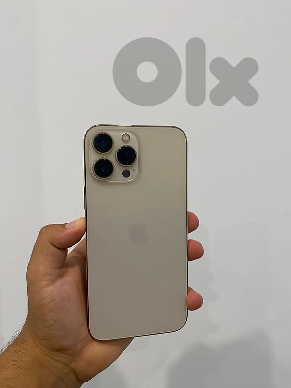 iPhone 13 pro max