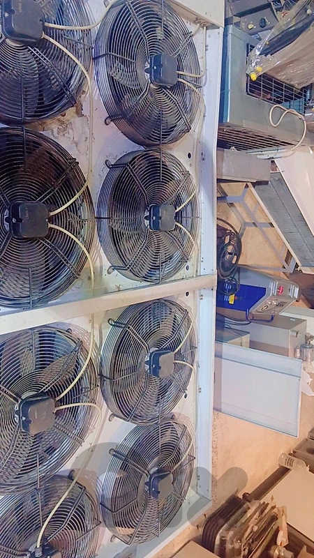 البقاع تعنايل