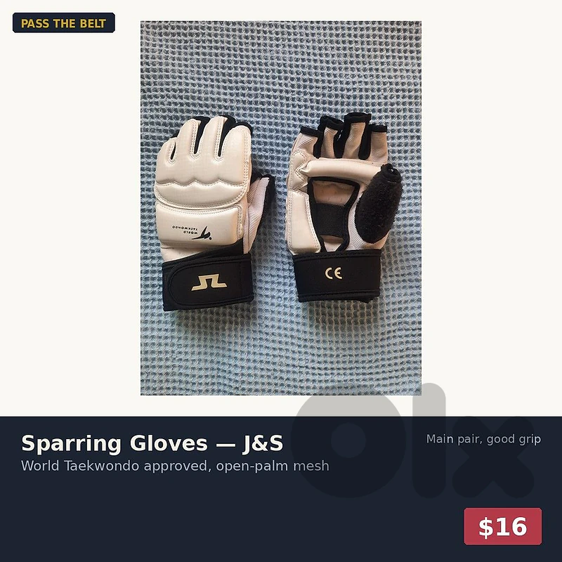 Sparring Gloves — J&S