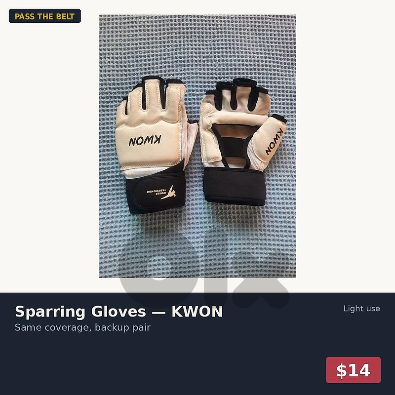 Sparring Gloves — KWON