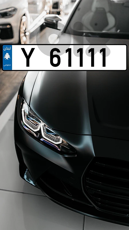 plate number