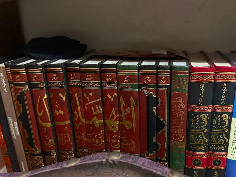 المهمات في شرح الروضه والرافعي ..فقه الزكاة ..