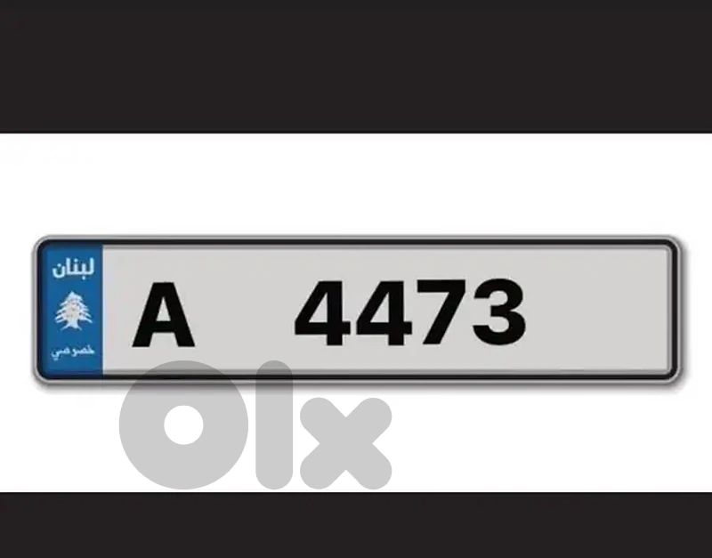 special plate A 4473 — super price